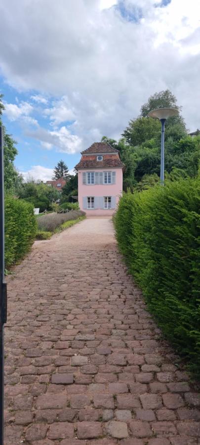 Ferienwohnung Am Kirchberg Ettenheim Bagian luar foto